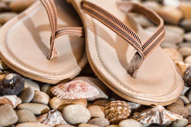 tan flip flops with black stitching sitting on rocks and seashells on beach